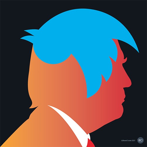 Trump Twitter Terminated